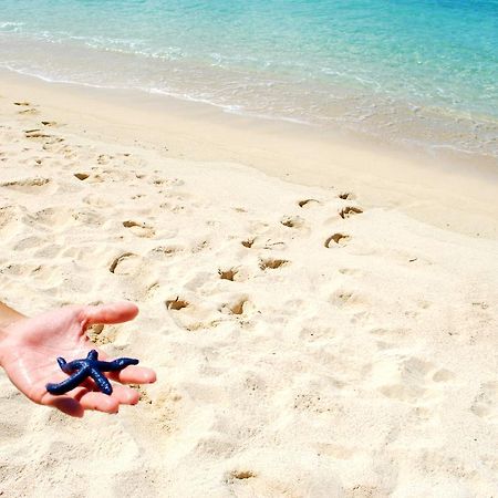 Taufua Beach Fales Lalomanu Dış mekan fotoğraf